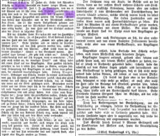 Pfälzer Volksanzeiger vom 29.07.1872